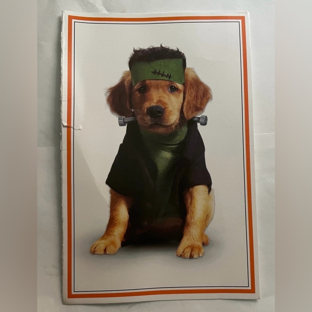 Frankenstein Golden Retriever Halloween Dog Picture